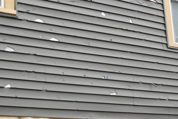 Trusted Lake Providence, LA Siding Installation & Repair Experts