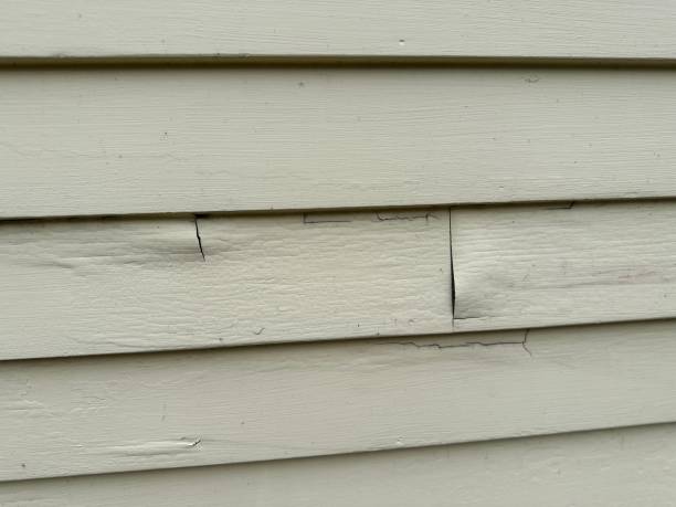 Best Siding Painting and Refinishing  in Ke Providence, LA